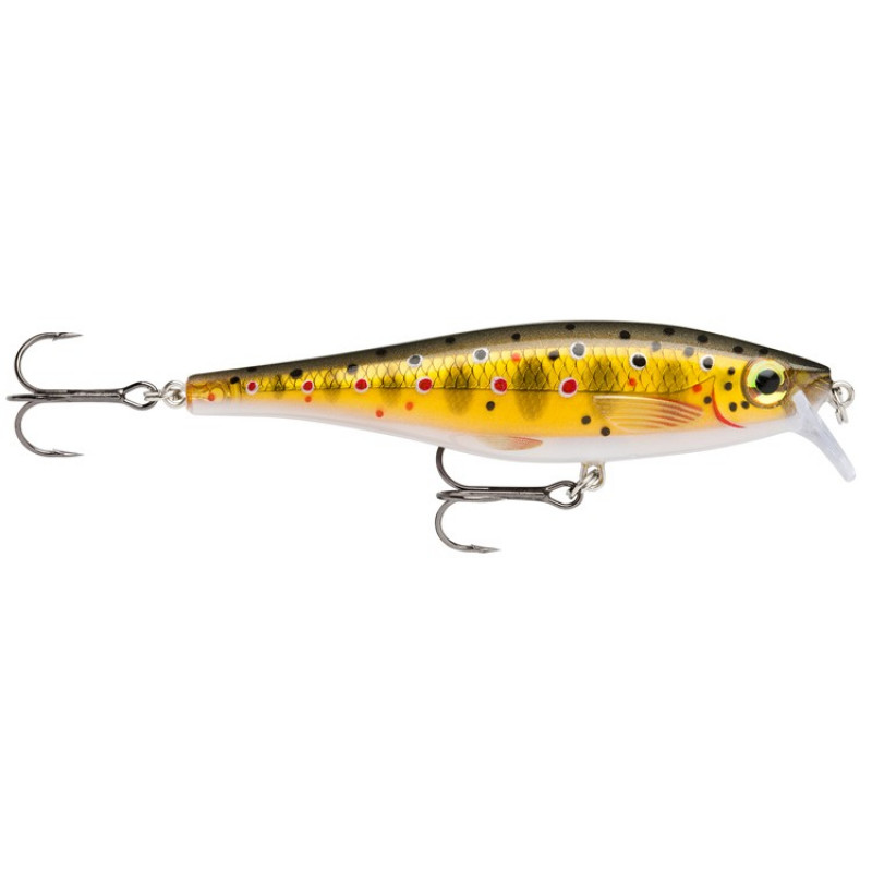 rapala-bx-minnow-10-tr.jpg