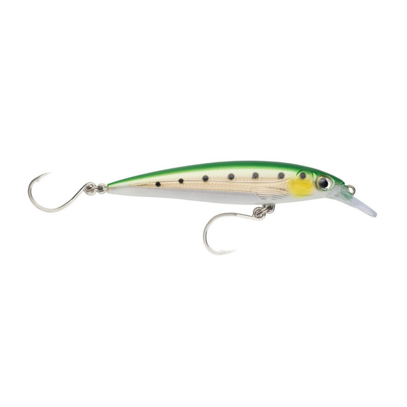 rapala-x-rap-long-cast-14-gsrd.jpg