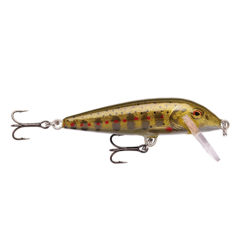rapala-countdown-05-gjtr.jpg