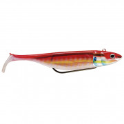 Storm Biscay Deep Shap H 17cm - RWS Rainbow Wrasse